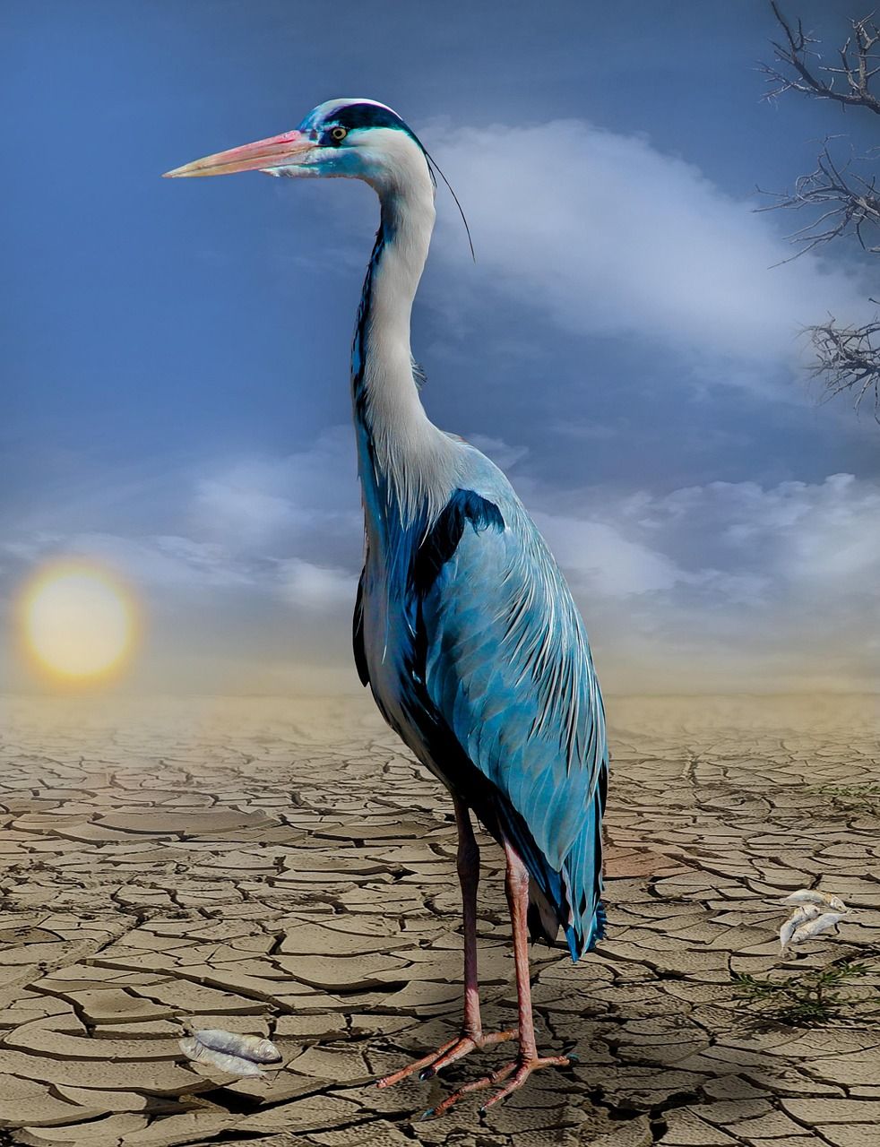 Wie verändert der Klimawandel die deutsche Landschaft?
