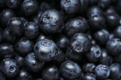 Die besten Superfoods für ein starkes Immunsystem