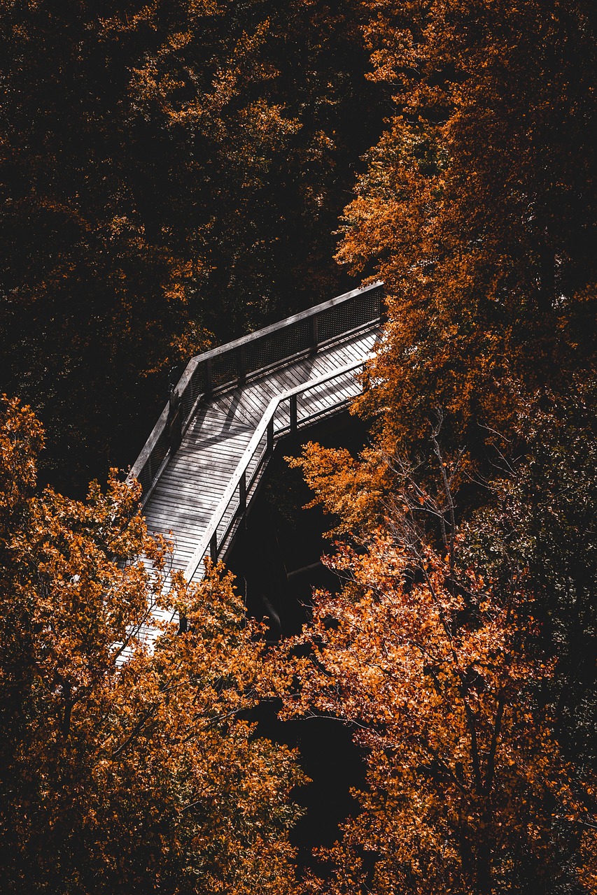 entdecken sie die kraft der achtsamkeit, um stress zu reduzieren, ihre konzentration zu verbessern und ihr wohlbefinden im alltag zu steigern.