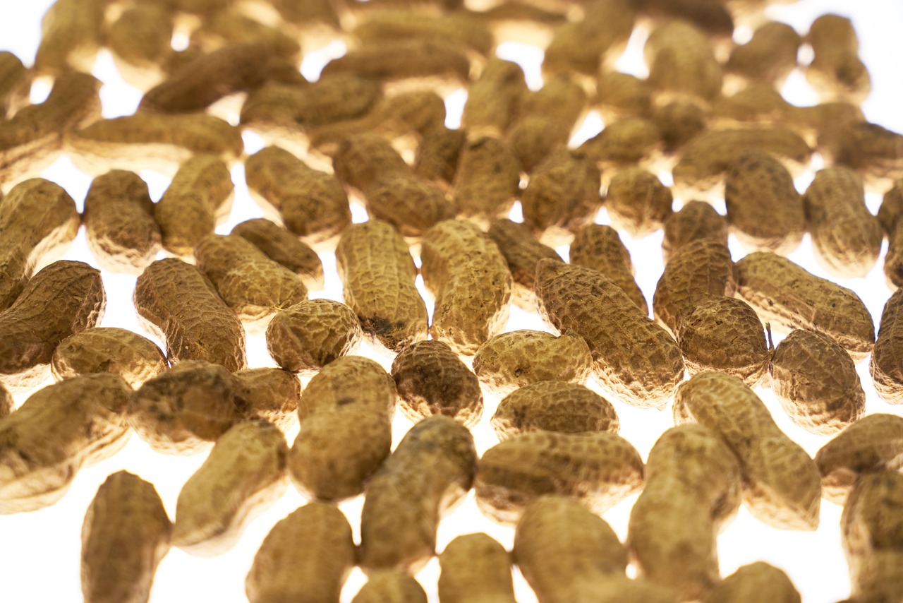 entdecken sie die vorteile von vitaminen und mineralstoffen für ihre gesundheit und ihr wohlbefinden. erfahren sie, wie sie ihren körper optimal unterstützen können.